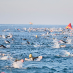 Athletes swimming in open water during the Plava Laguna Ironman 70.3 triathlon in Poreč, Croatia.