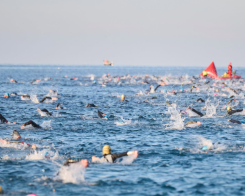 Athletes swimming in open water during the Plava Laguna Ironman 70.3 triathlon in Poreč, Croatia.