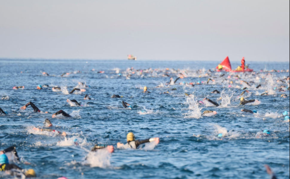 Athletes swimming in open water during the Plava Laguna Ironman 70.3 triathlon in Poreč, Croatia.